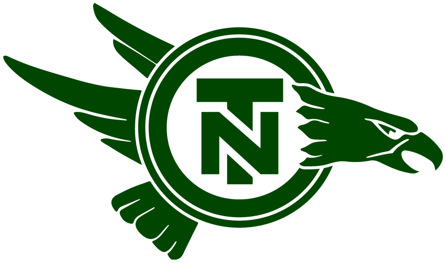 North Texas Mean Green 1983-1994 Primary Logo iron on transfers for clothing